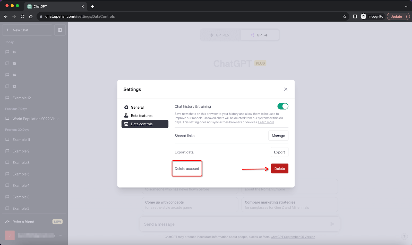 ChatGPT Settings and Beta Data Controls Delete Account Delete Button