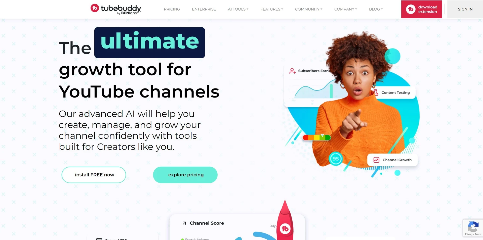 TubeBuddywebsite picture