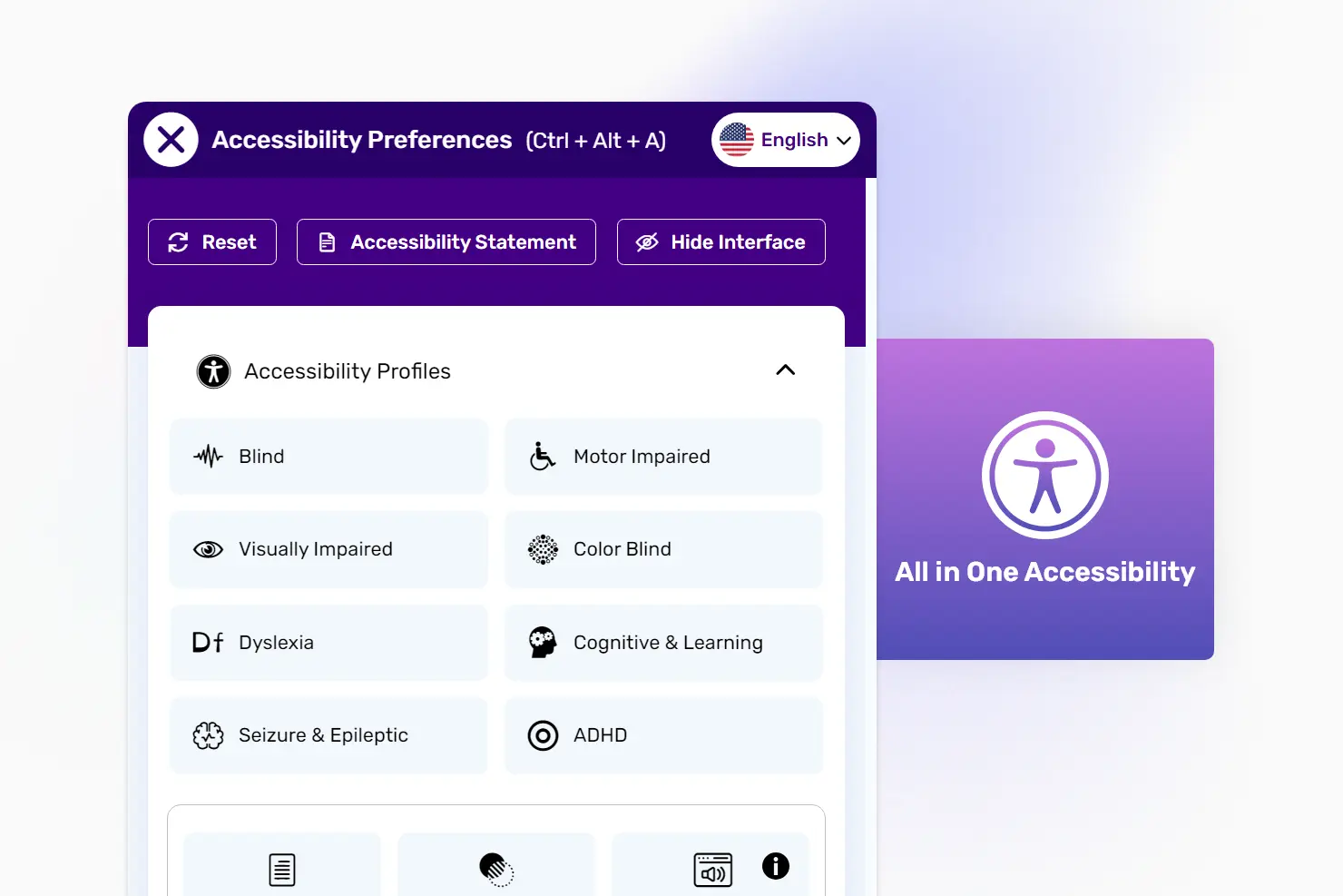 All in One Accessibility PROwebsite picture