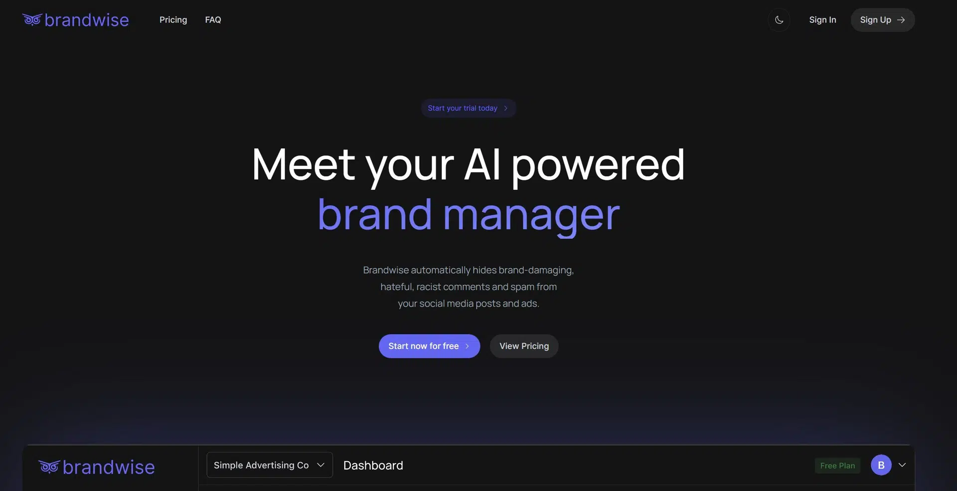 Brandwise AI website picture